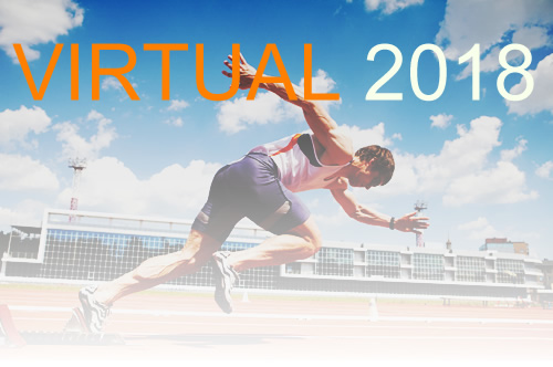 virtual20182